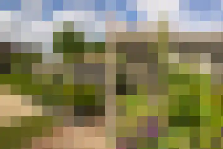 Wemmingen 17 Nieuw-Vennep thumbnail 37
