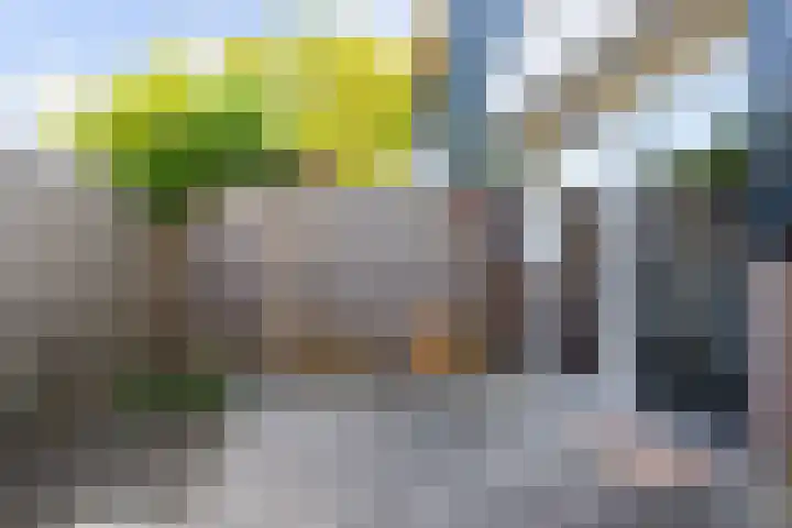 Wemmingen 36 C Nieuw-Vennep thumbnail 30