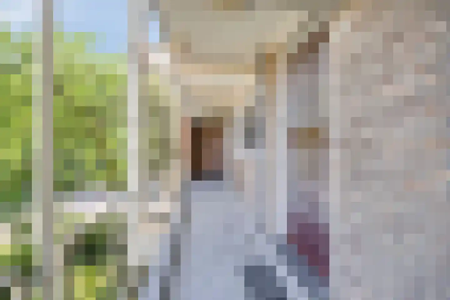Wenckebachlaan 22 Groningen thumbnail 18