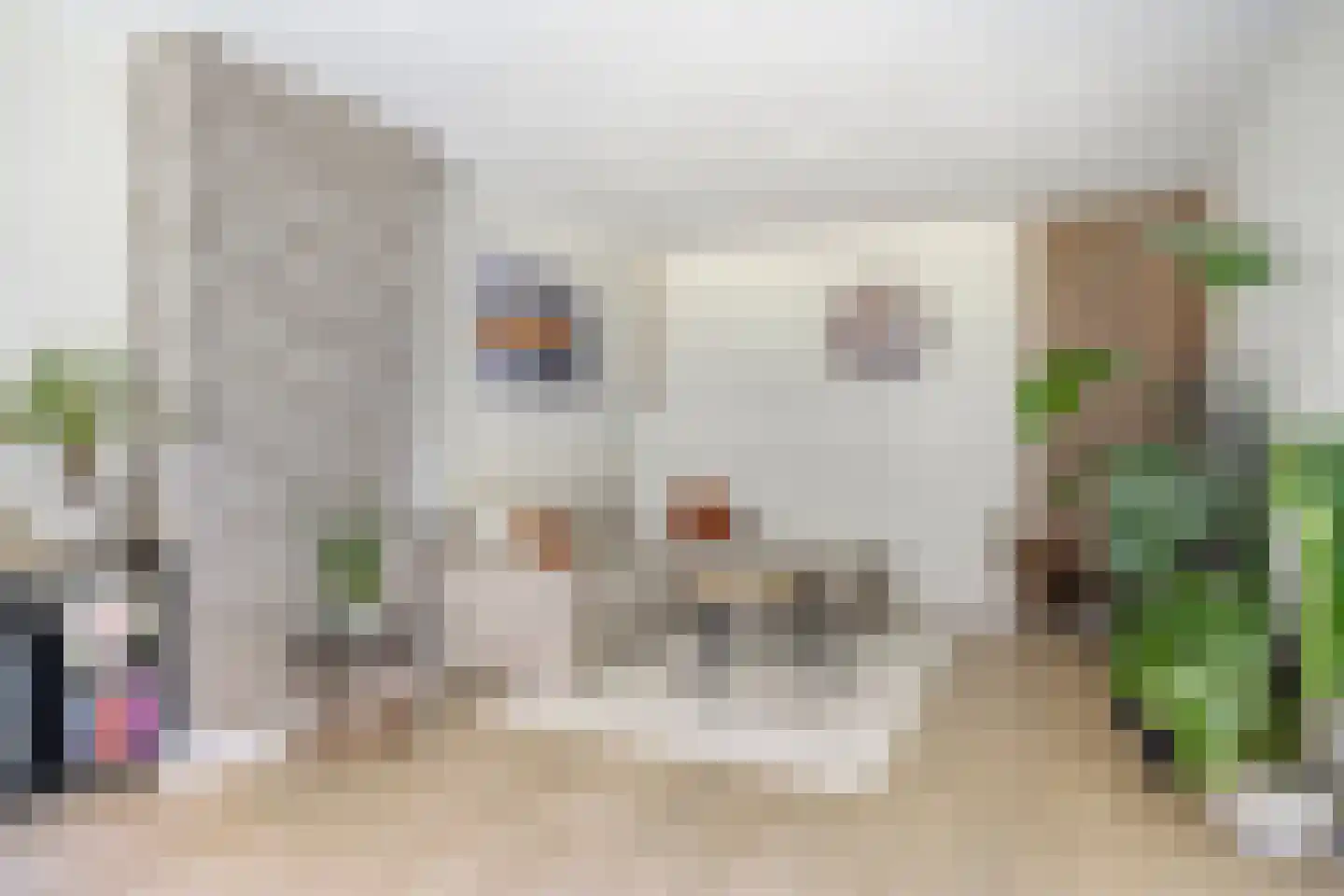 Wenckebachlaan 22 Groningen thumbnail 23
