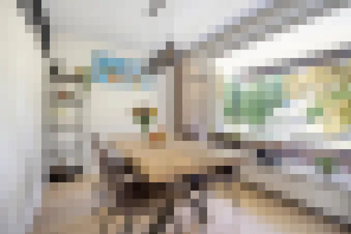 Wenckebachlaan 22 Groningen thumbnail 29