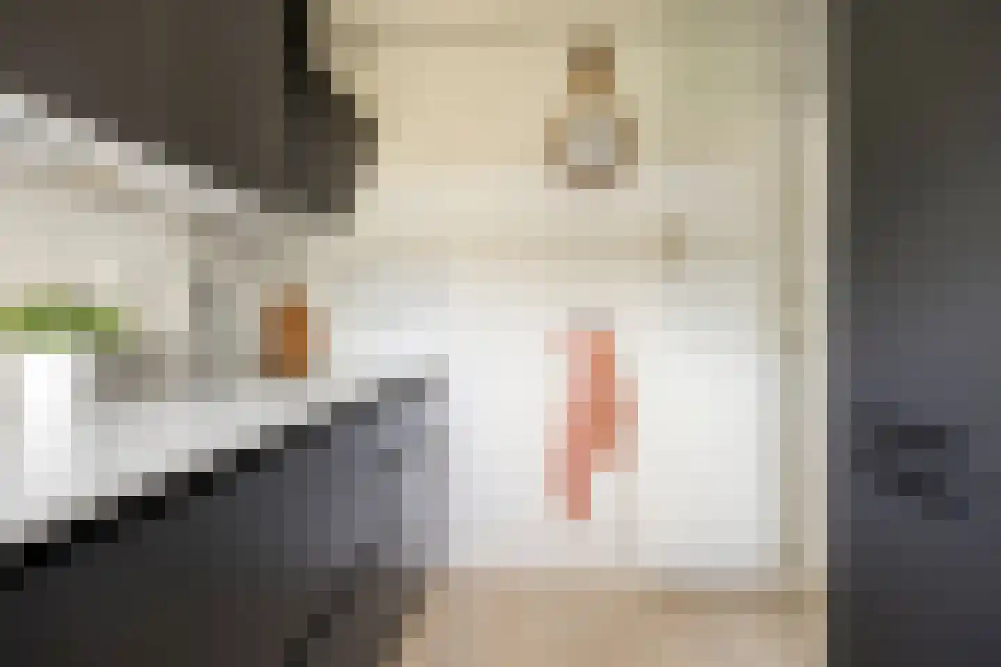 Wenckebachlaan 22 Groningen thumbnail 37