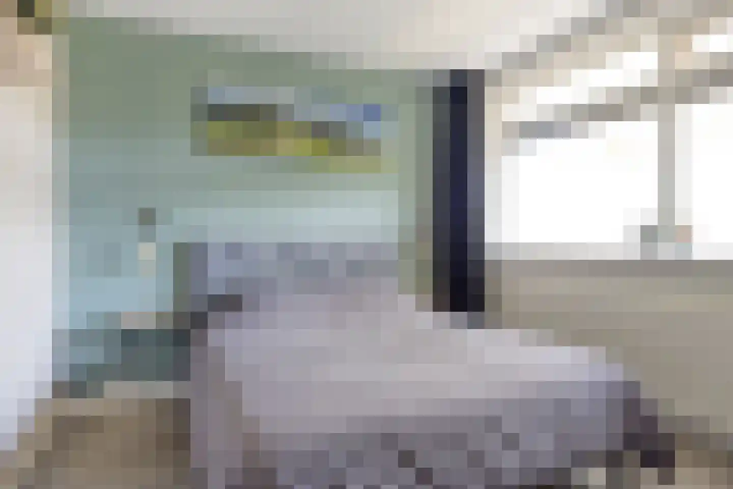 Wenckebachlaan 22 Groningen thumbnail 41