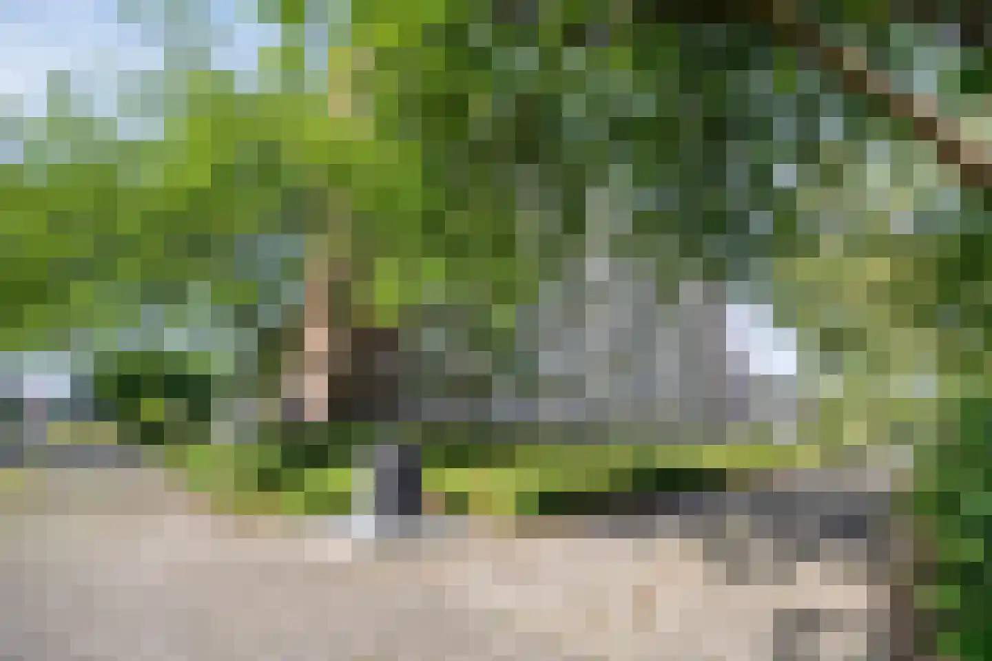 Wenckebachlaan 22 Groningen thumbnail 52