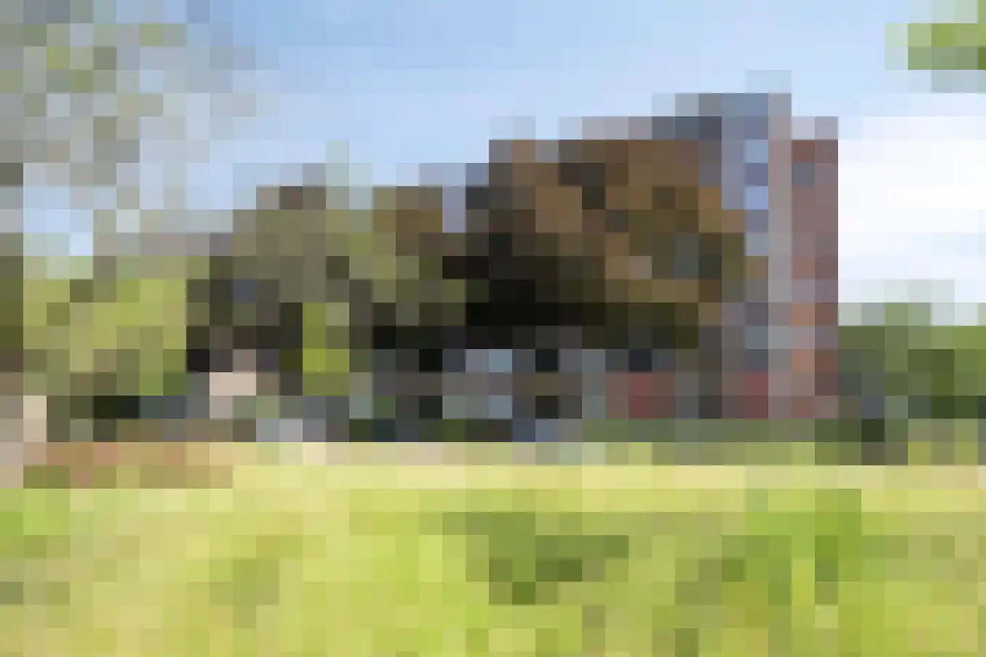 Wenckebachlaan 22 Groningen thumbnail 53