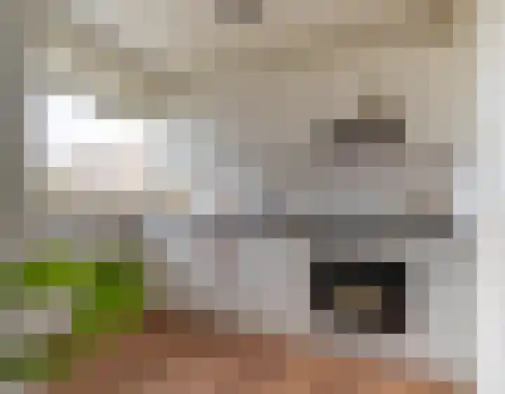 Wenckebachlaan 23 Groningen thumbnail 11
