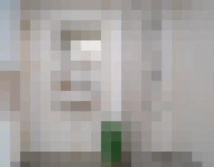 Wenckebachlaan 23 Groningen thumbnail 18