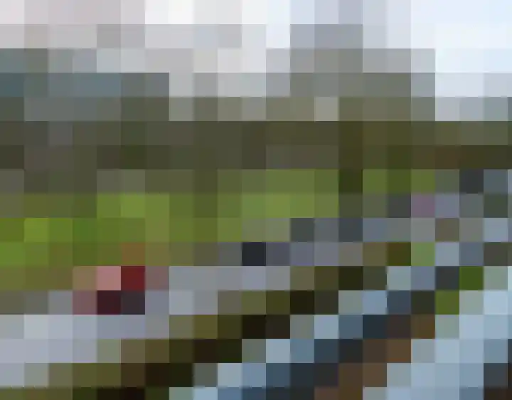 Wenckebachlaan 23 Groningen thumbnail 24