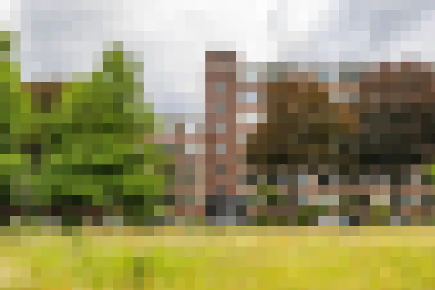 Wenckebachlaan 24 Groningen thumbnail 6