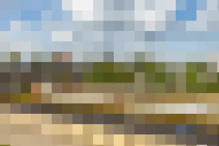 Wenckebachlaan 26 Groningen thumbnail 11