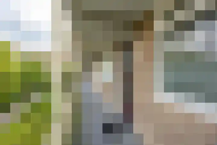 Wenckebachlaan 26 Groningen thumbnail 12
