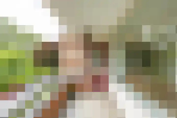 Wenckebachlaan 26 Groningen thumbnail 23