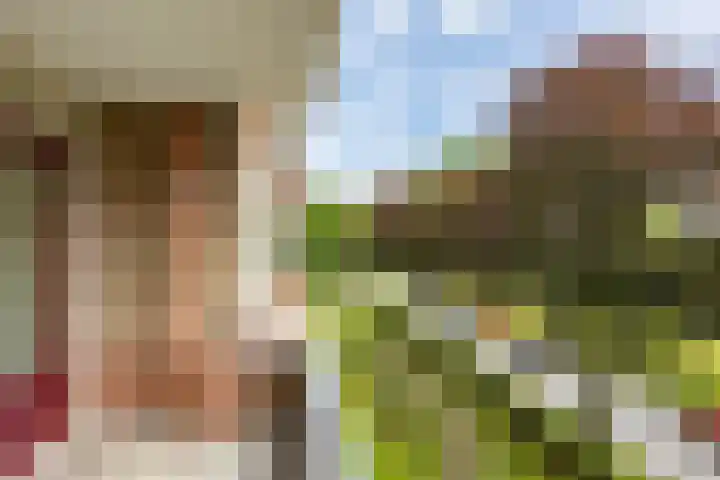 Wenckebachlaan 26 Groningen thumbnail 24