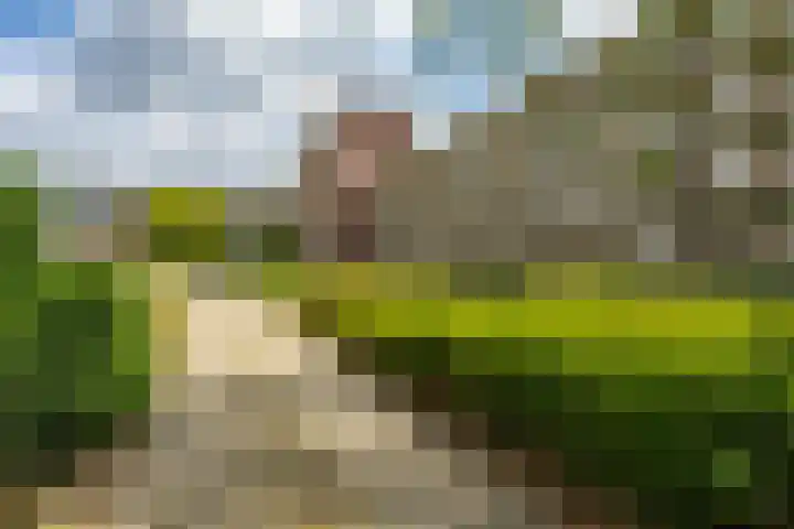 Wenckebachlaan 26 Groningen thumbnail 34