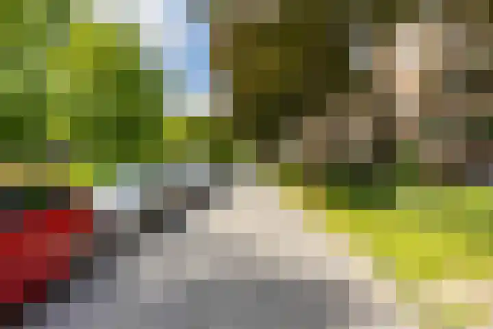 Wenckebachlaan 26 Groningen thumbnail 5
