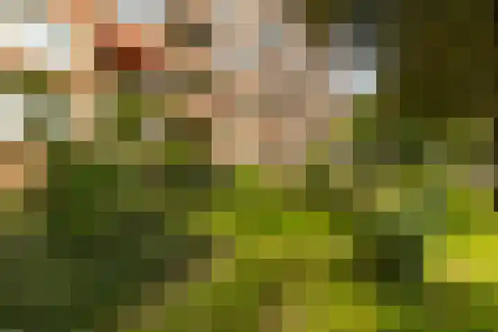 Wenckebachlaan 26 Groningen thumbnail 6