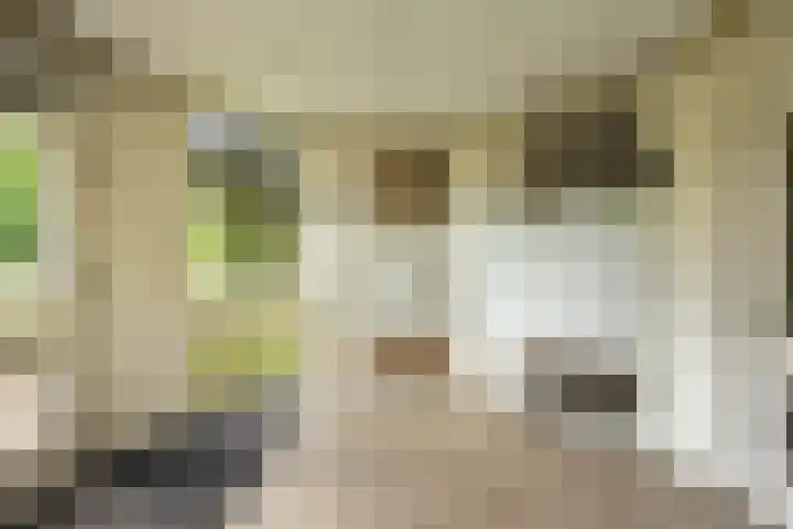 Wenckebachlaan 26 Groningen thumbnail 8