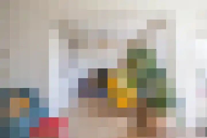 Wenckebachlaan 32 Groningen thumbnail 15