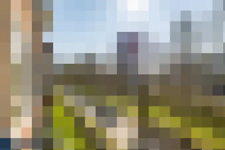 Wenckebachlaan 32 Groningen thumbnail 20