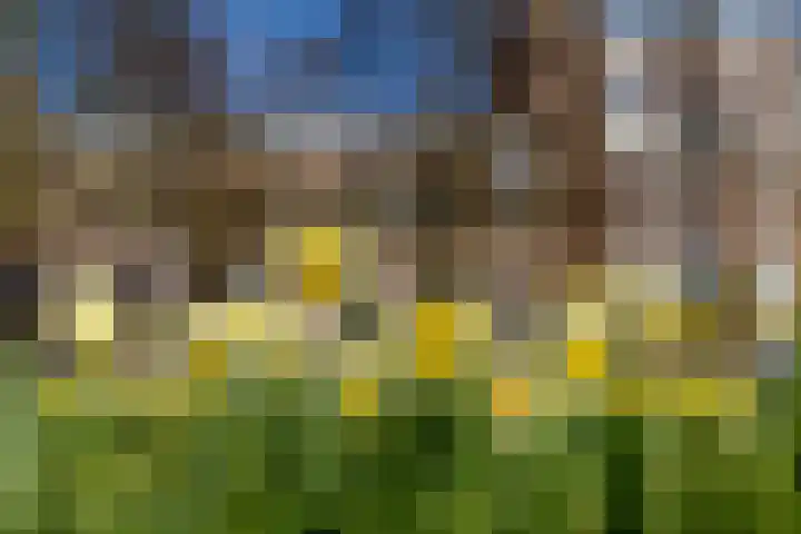 Wenckebachlaan 32 Groningen thumbnail 41