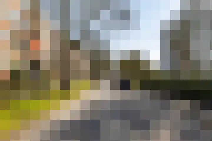 Wenckebachlaan 32 Groningen thumbnail 7