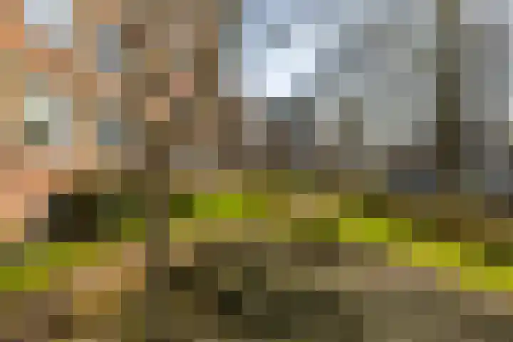 Wenckebachlaan 32 Groningen thumbnail 9