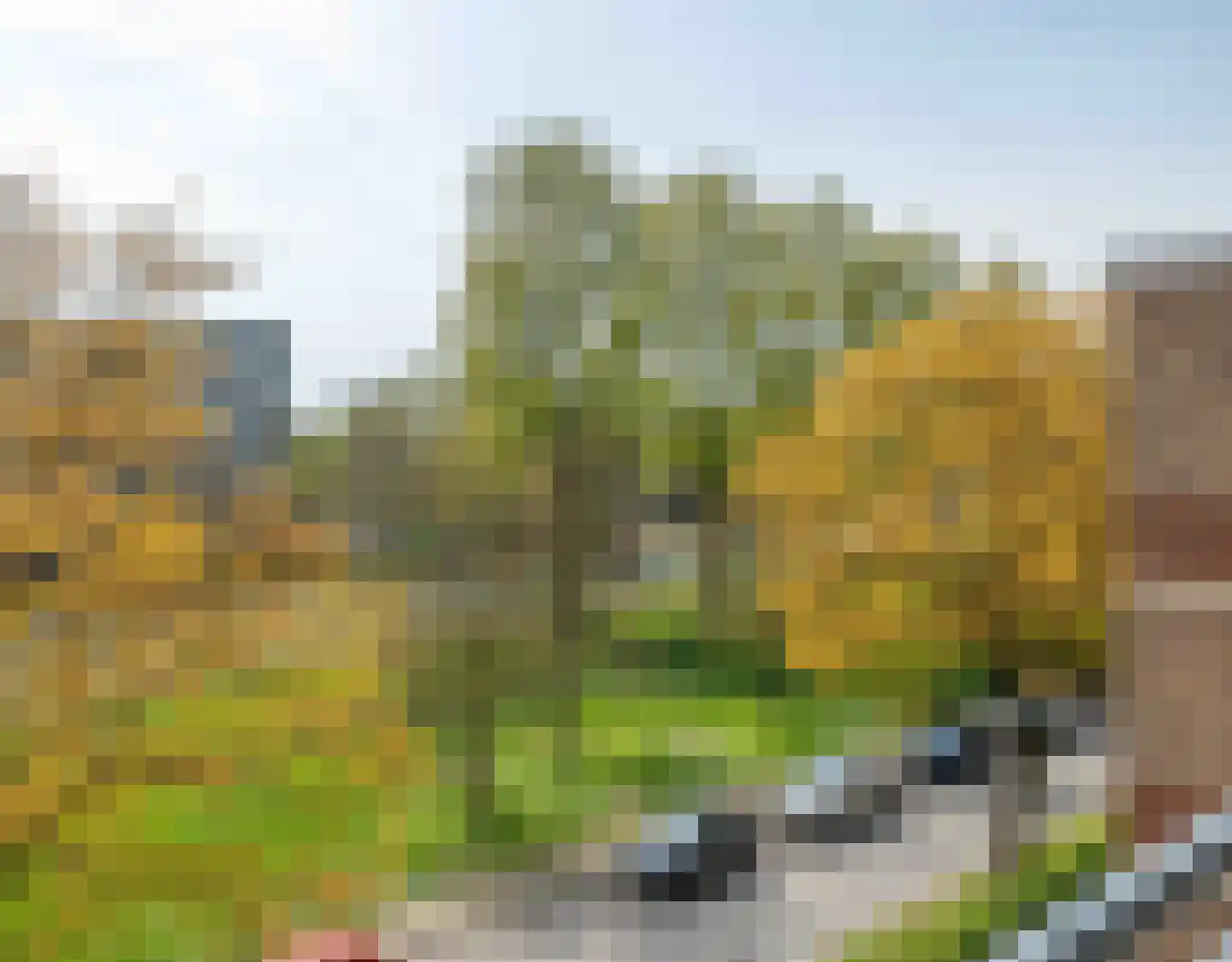 Wenckebachlaan 41 Groningen thumbnail 22