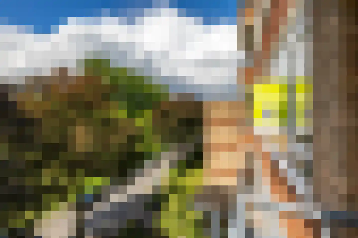 Wenckebachlaan 42 Groningen thumbnail 19
