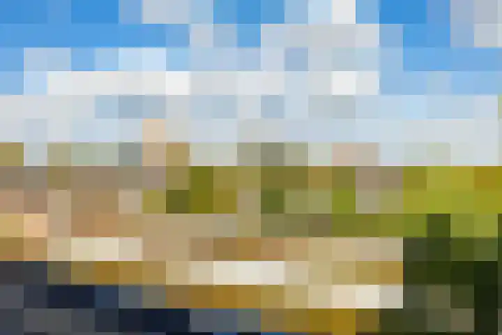Wenckebachlaan 43 Groningen thumbnail 12