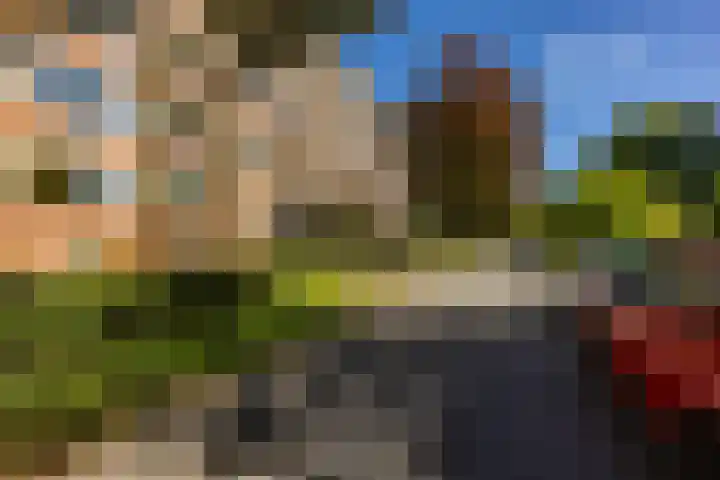 Wenckebachlaan 43 Groningen thumbnail 38