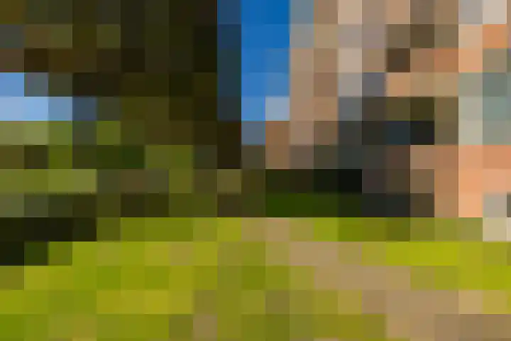 Wenckebachlaan 43 Groningen thumbnail 40