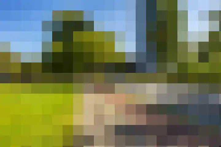 Wenckebachlaan 43 Groningen thumbnail 41