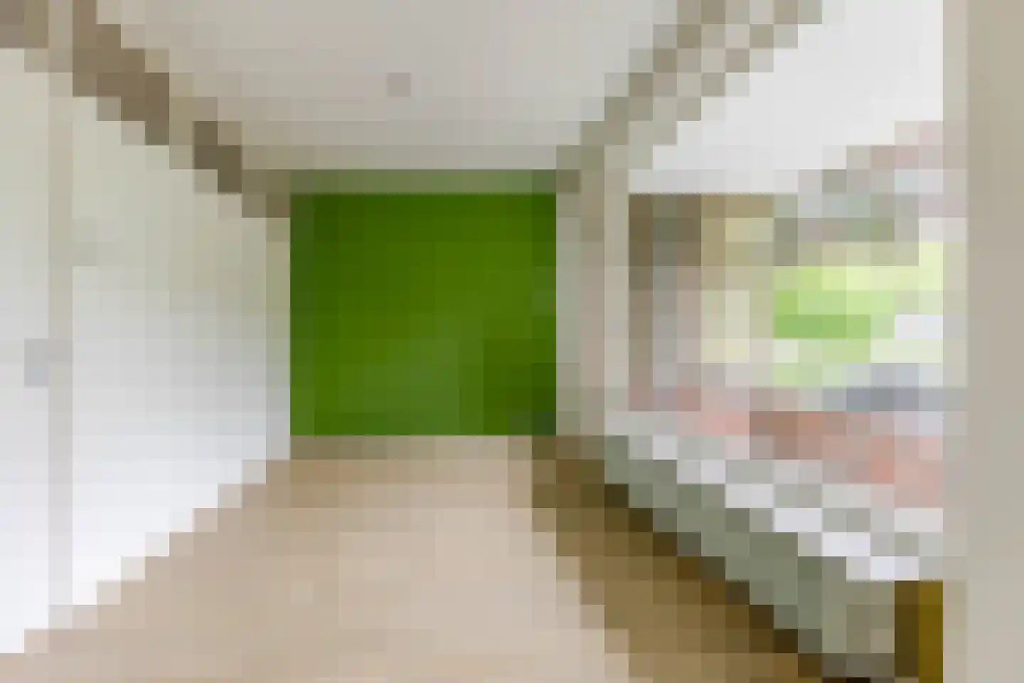 Wenckebachlaan 5 Groningen thumbnail 11