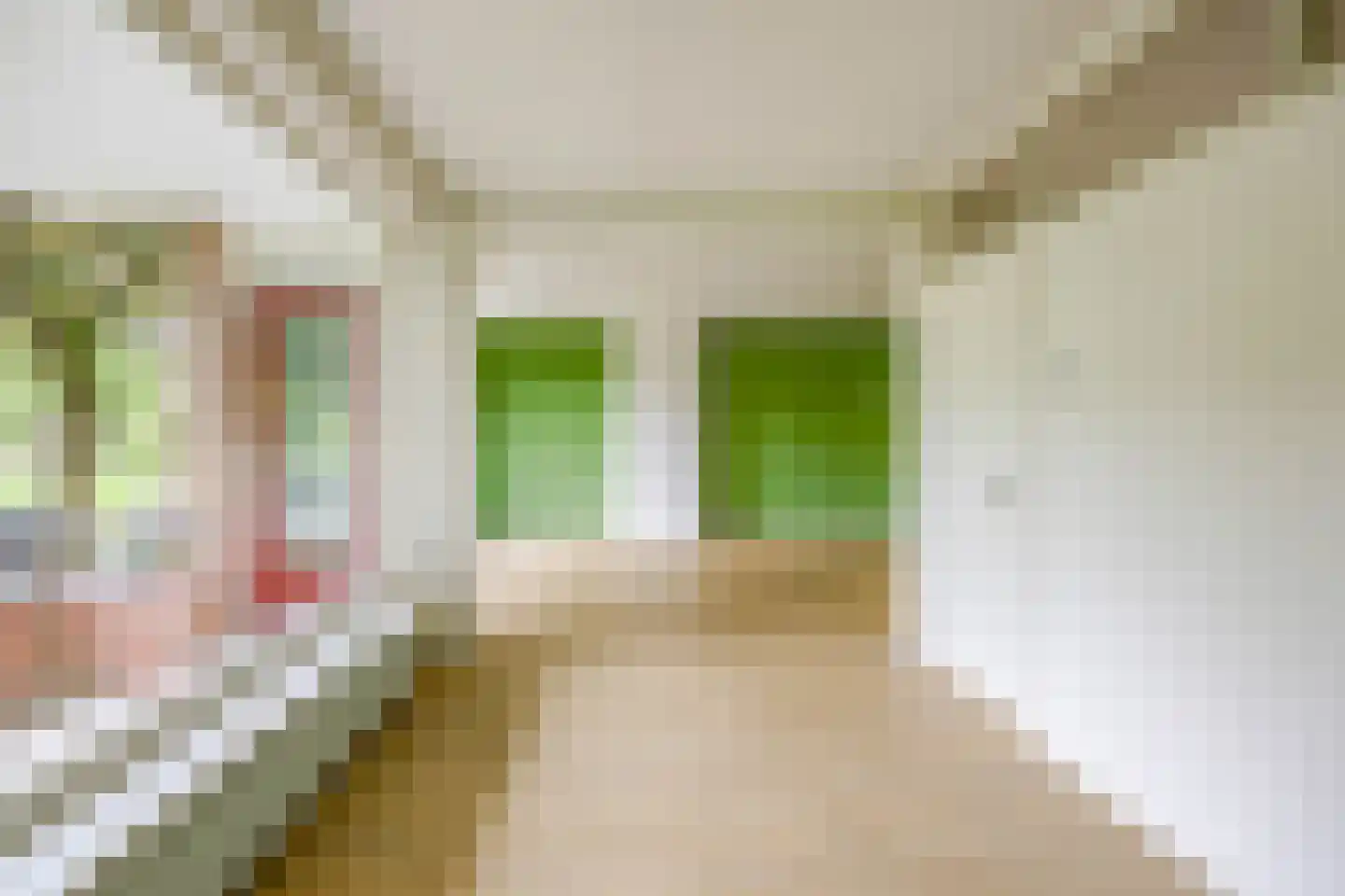 Wenckebachlaan 5 Groningen thumbnail 12