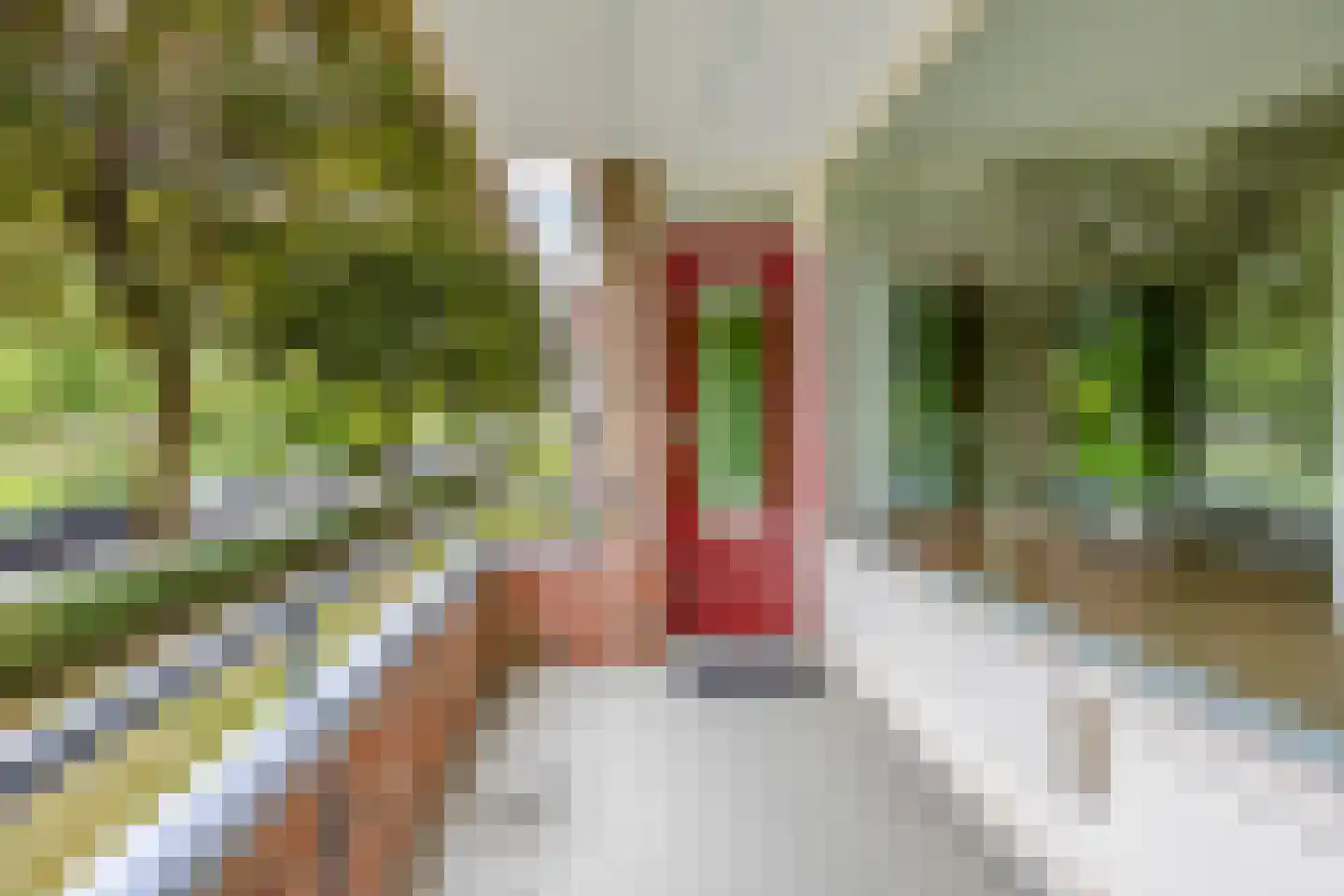 Wenckebachlaan 5 Groningen thumbnail 14