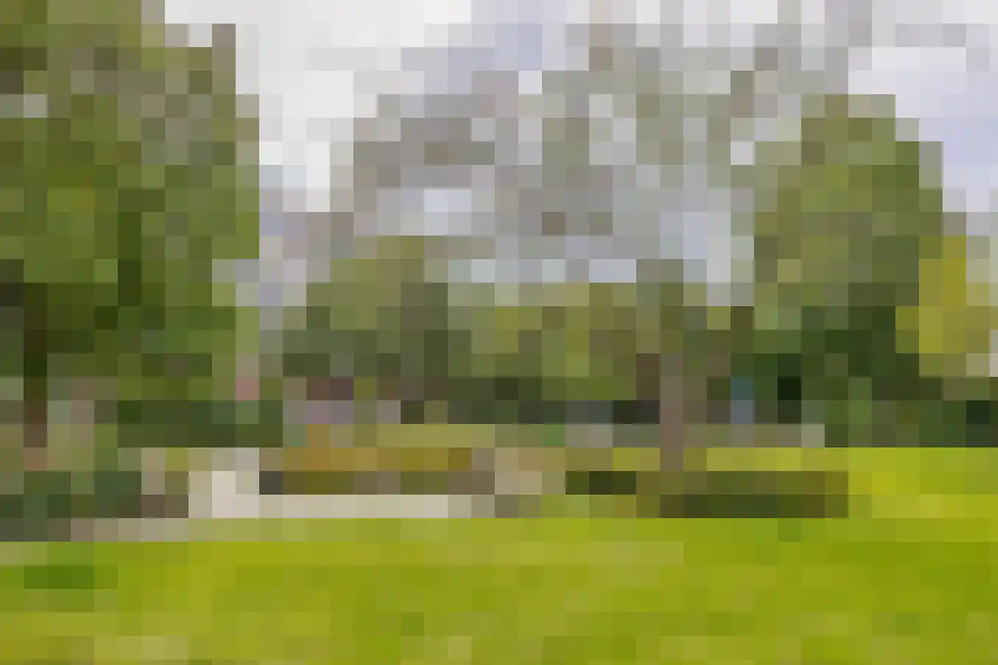 Wenckebachlaan 5 Groningen thumbnail 24