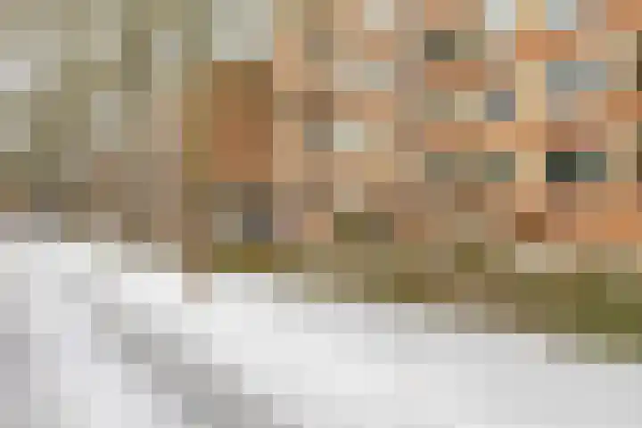 Wenckebachlaan 6 Groningen thumbnail 39