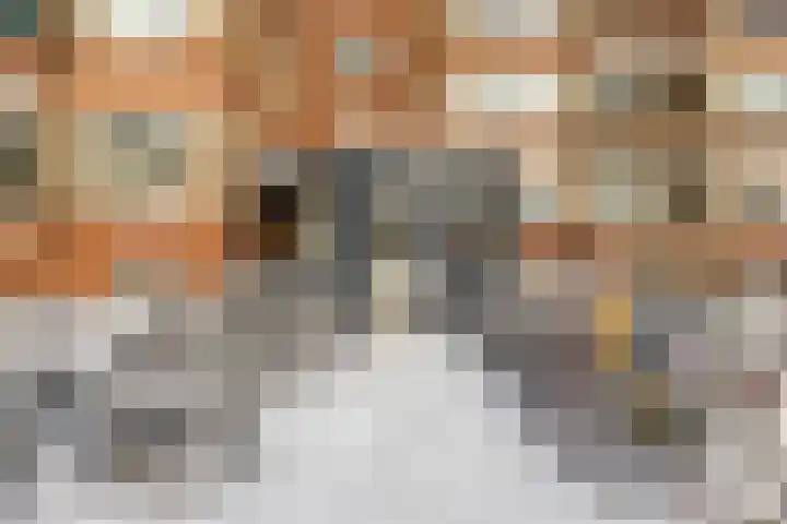 Wenckebachlaan 6 Groningen thumbnail 5