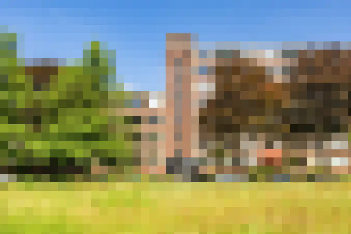 Wenckebachlaan 7 Groningen