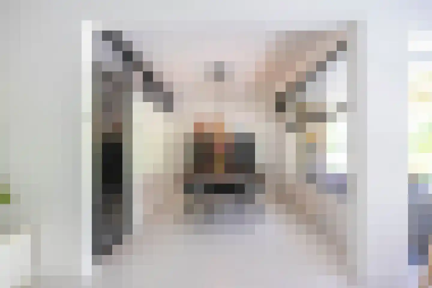 Wenckebachlaan 7 Groningen thumbnail 19