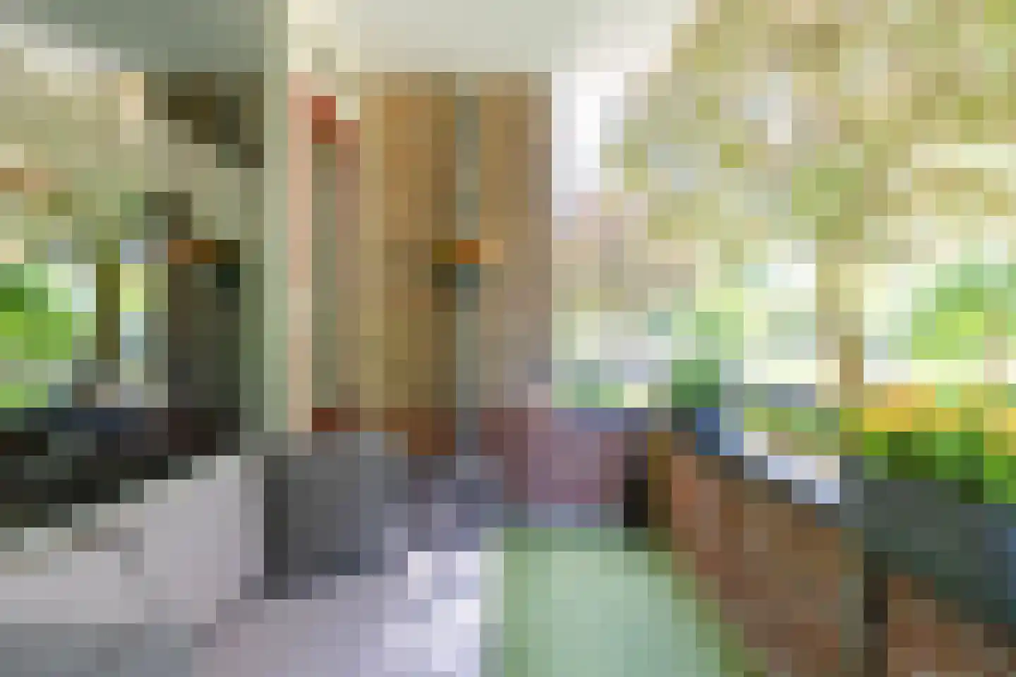 Wenckebachlaan 7 Groningen thumbnail 24