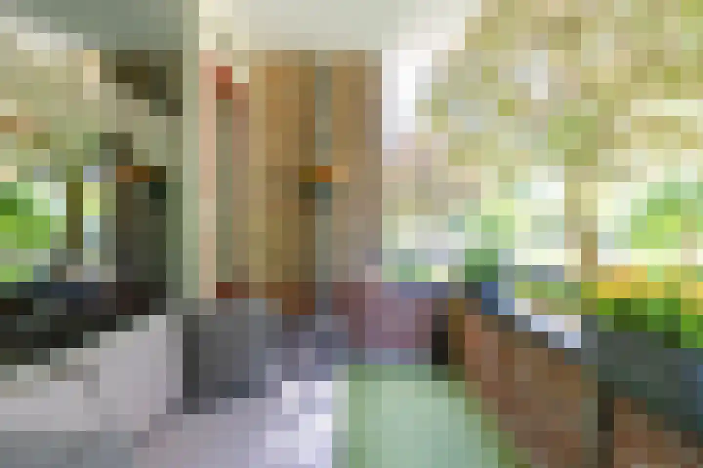 Wenckebachlaan 7 Groningen thumbnail 24