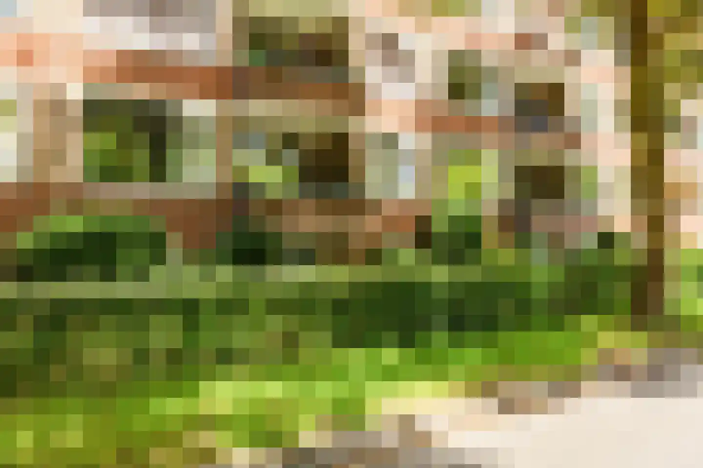 Wenckebachlaan 7 Groningen thumbnail 5