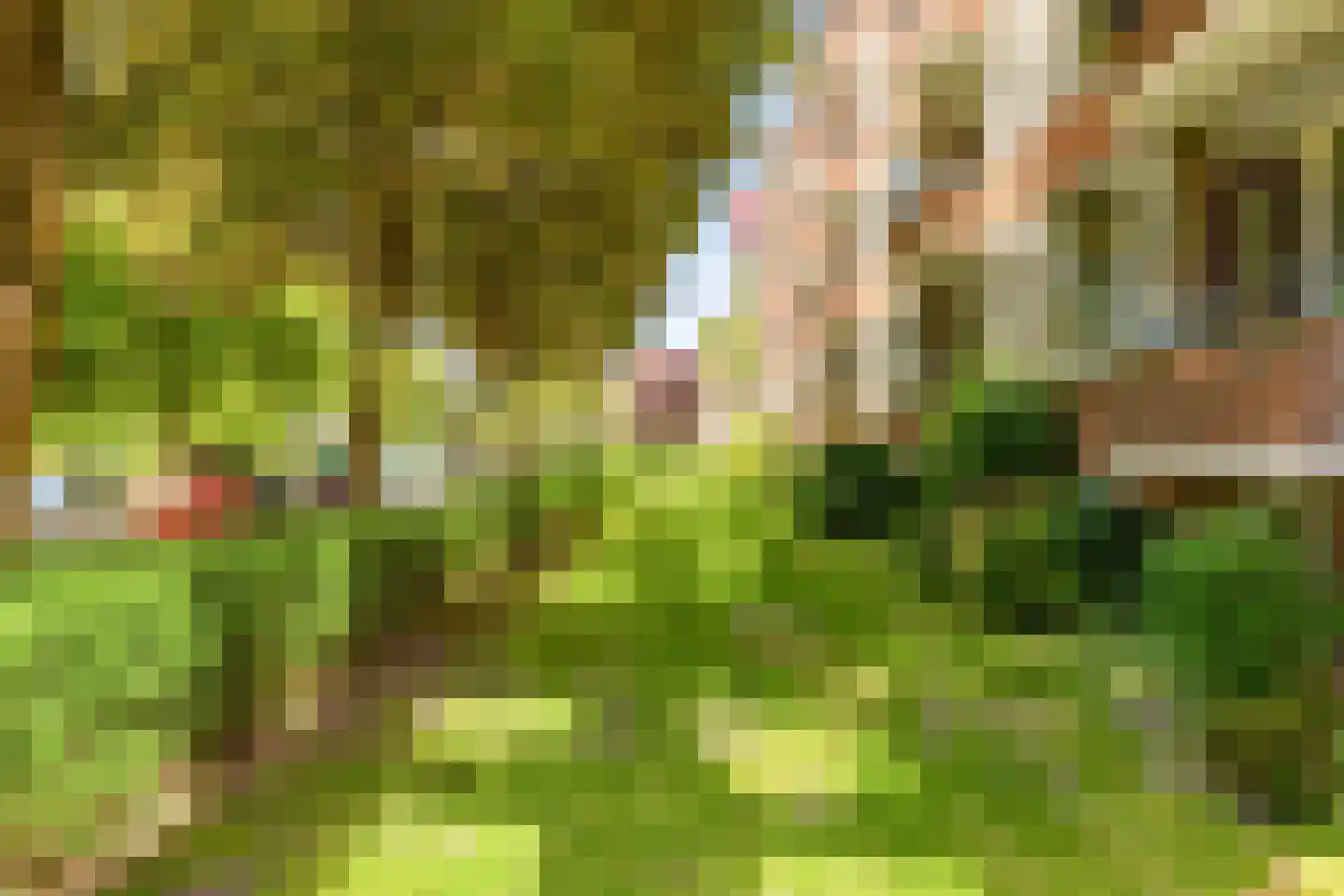 Wenckebachlaan 7 Groningen thumbnail 8