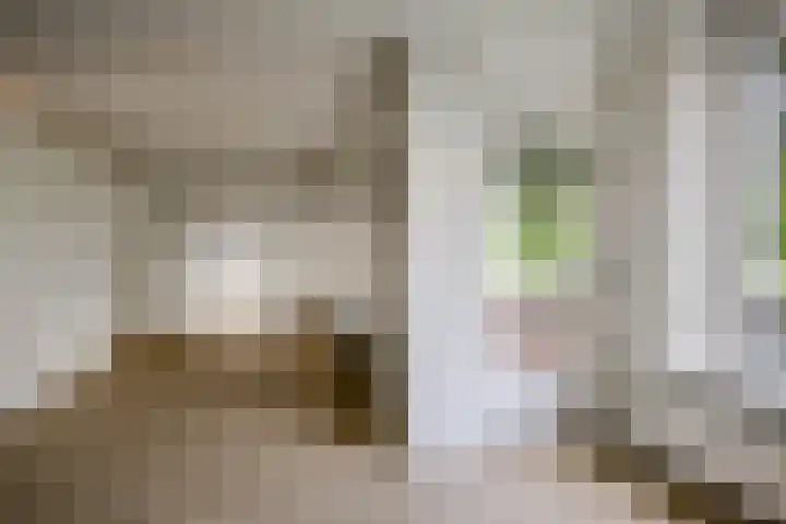 Wenckebachlaan 9 Groningen thumbnail 10