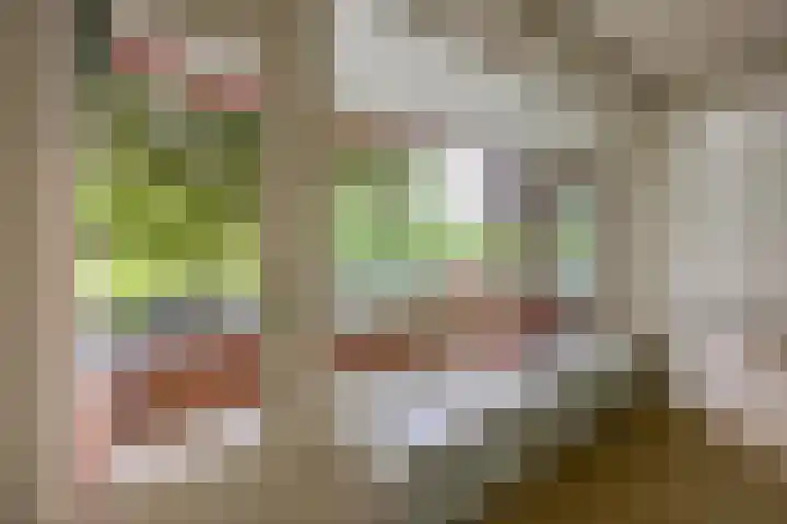 Wenckebachlaan 9 Groningen thumbnail 14