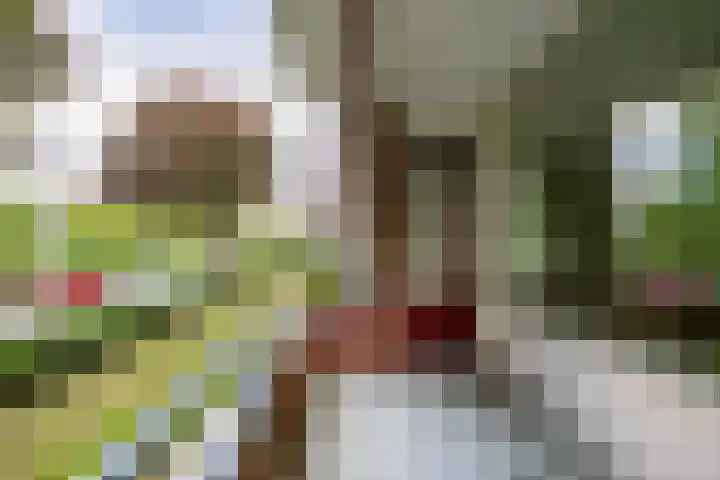Wenckebachlaan 9 Groningen thumbnail 15