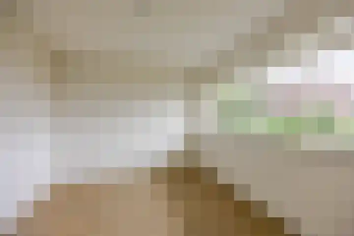Wenckebachlaan 9 Groningen thumbnail 18