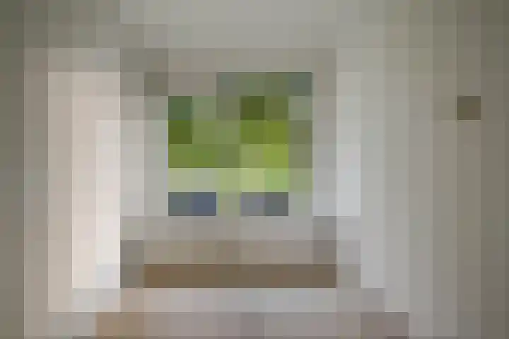 Wenckebachlaan 9 Groningen thumbnail 20