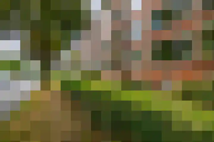 Wenckebachlaan 9 Groningen thumbnail 23